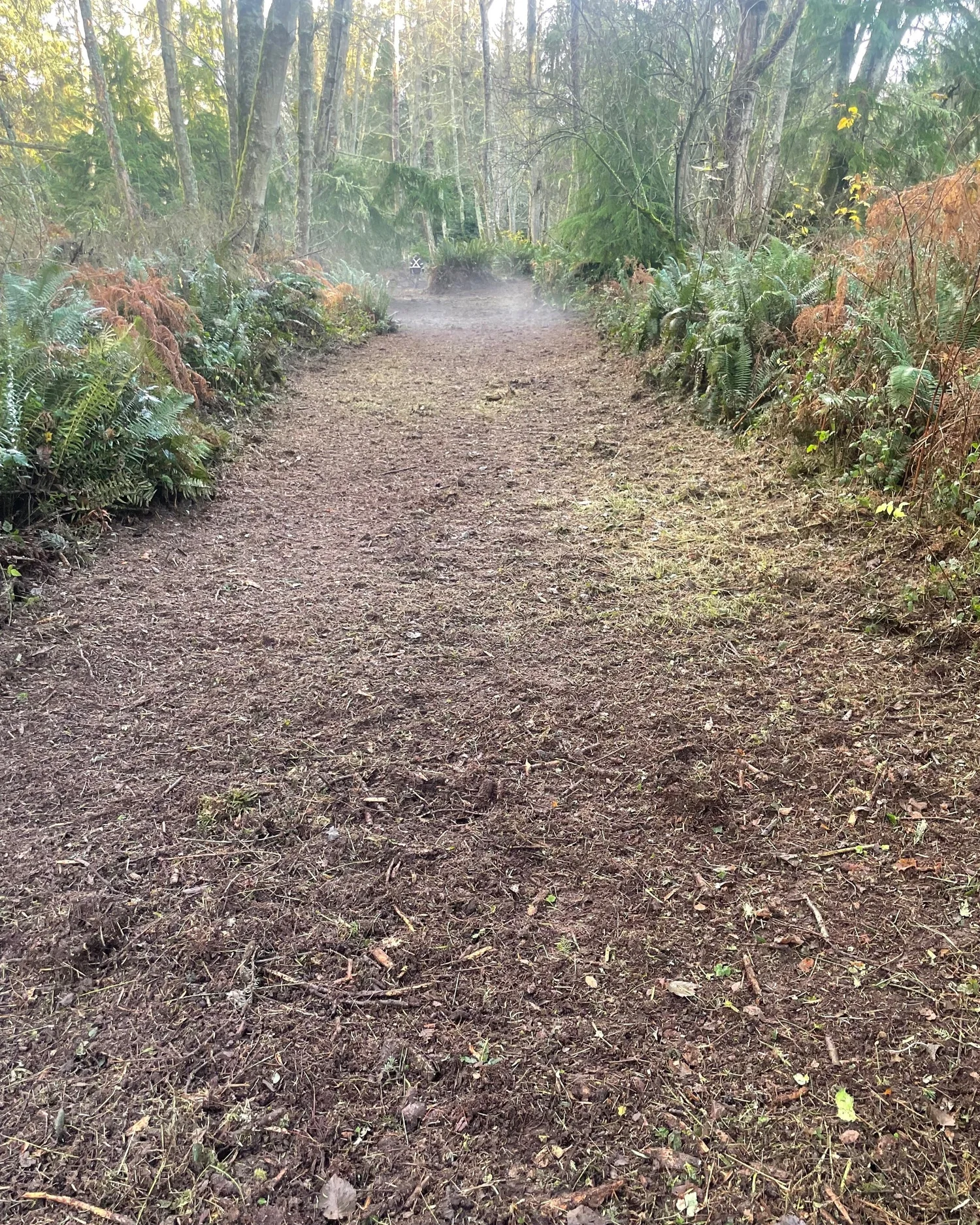 Alder Alley