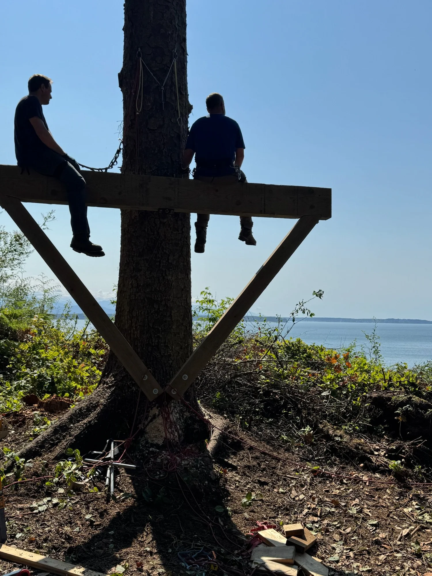 The Treehouse, In Three Acts